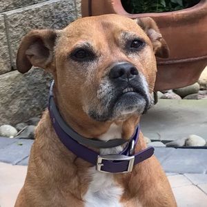 Meet your Posher, Casey k.